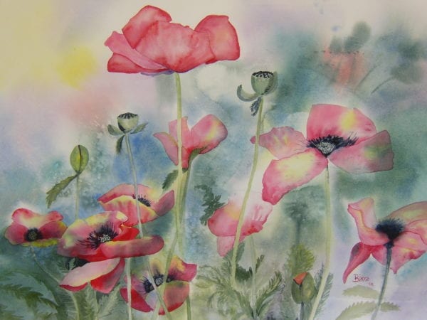 Poppies - SOLD ❤️