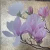 Port Wine Magnolia - Image 4