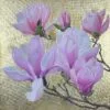 Port Wine Magnolia - Image 7